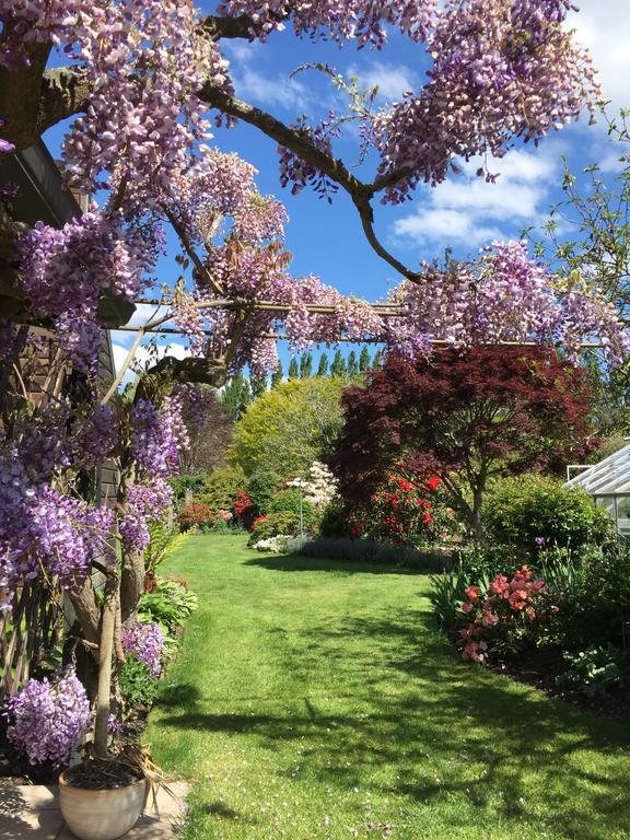 Rhododendron Garden Hotel Christchurch Exterior foto