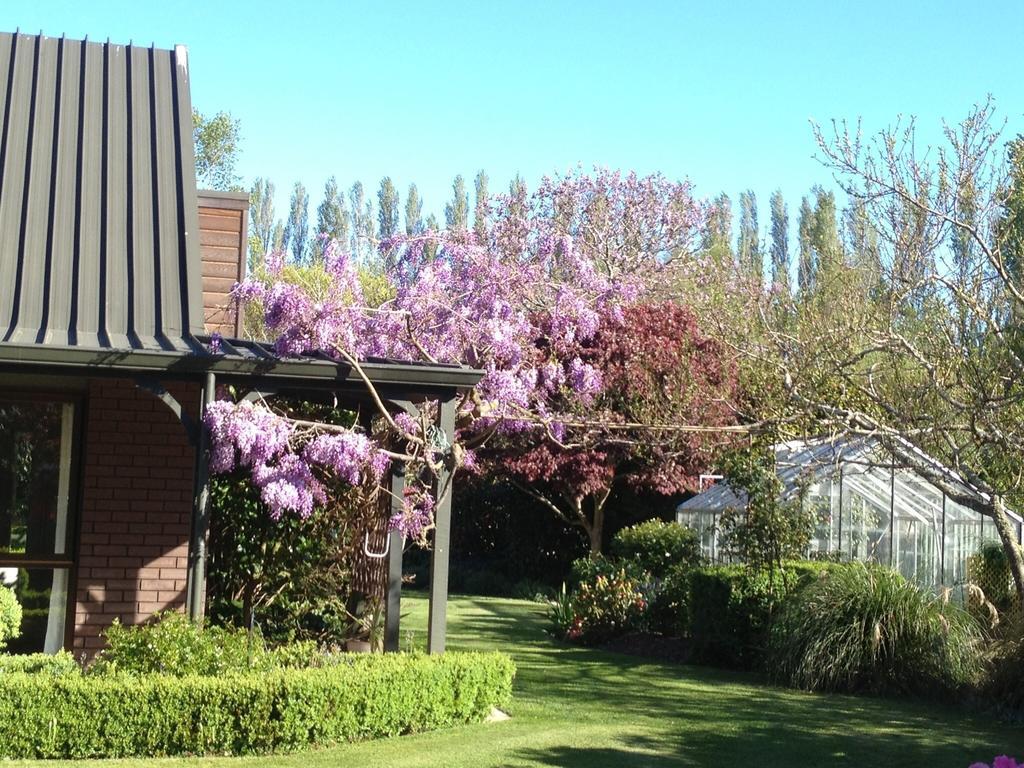 Rhododendron Garden Hotel Christchurch Quarto foto