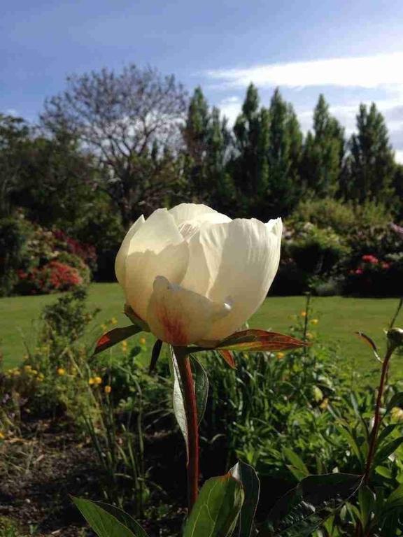 Rhododendron Garden Hotel Christchurch Quarto foto