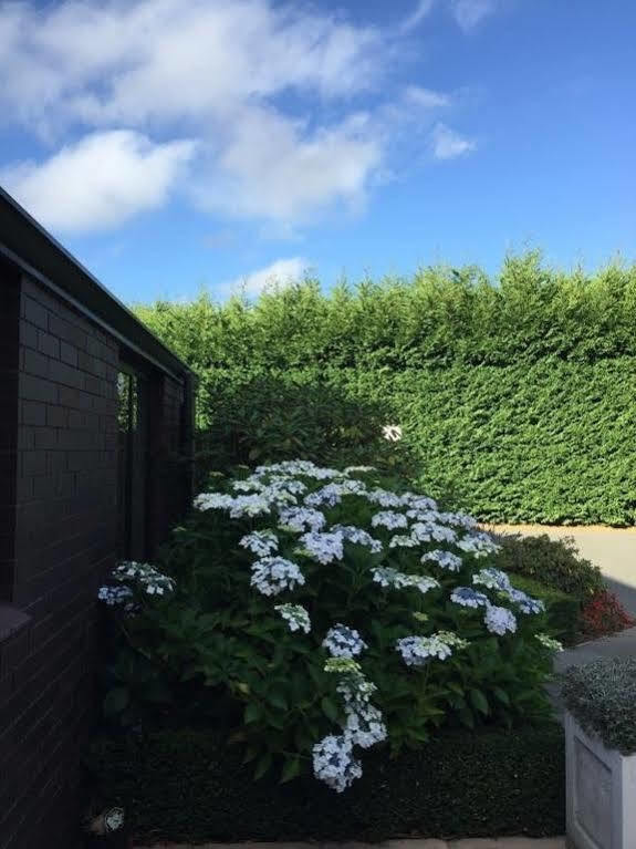 Rhododendron Garden Hotel Christchurch Exterior foto